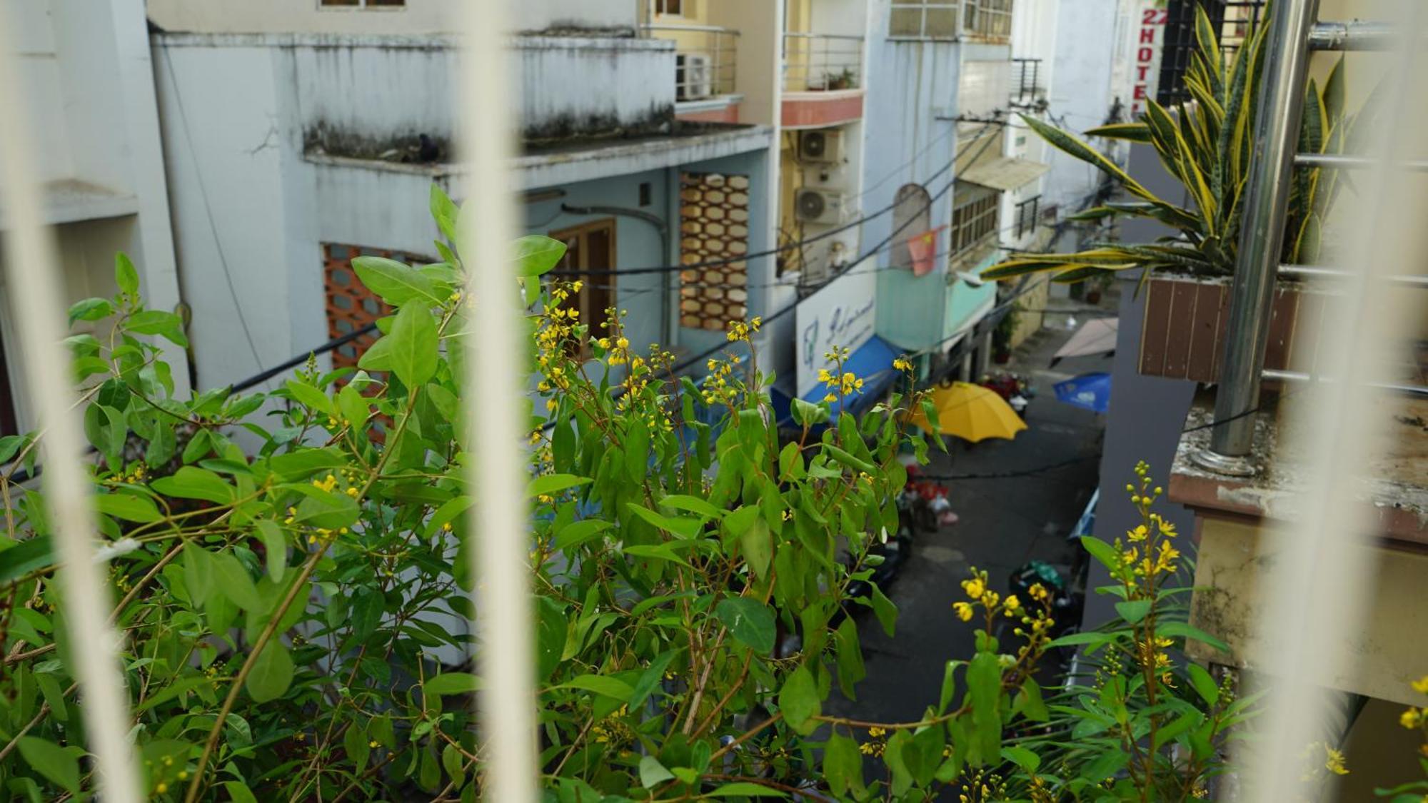 Maiam Homestay Πόλη Χο Τσι Μινχ Εξωτερικό φωτογραφία